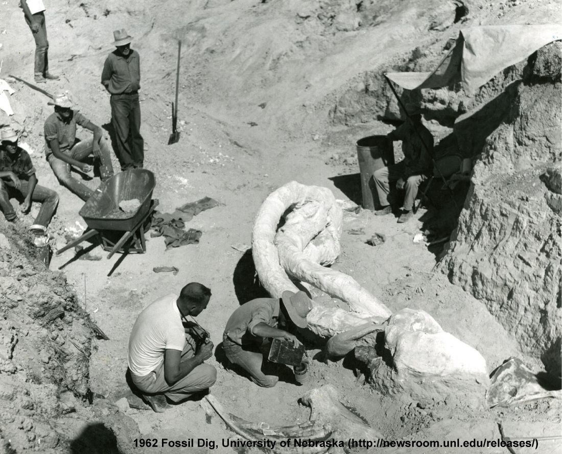 paleontolog iş başında
