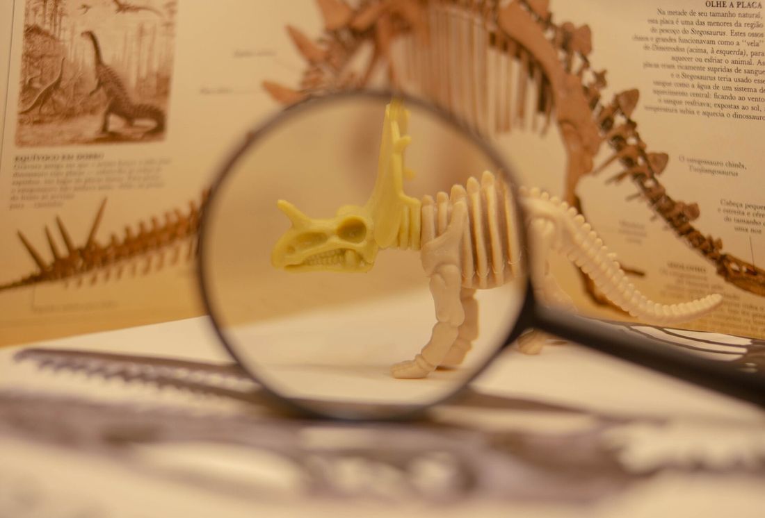 paleontolog iş başında