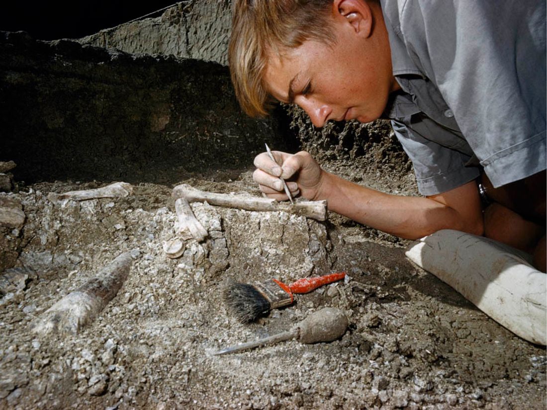 paleontolog iş başında